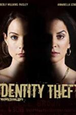 Watch Identity Theft Goojara