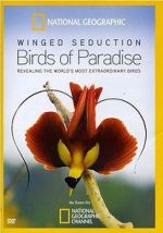 Watch Winged Seduction: Birds of Paradise Goojara
