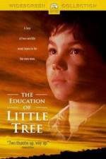 Watch The Education of Little Tree Goojara