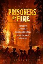 Watch Prisoners of Fire Goojara