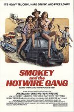 Watch Smokey and the Hotwire Gang Goojara