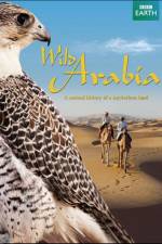 Watch Wild Arabia Goojara