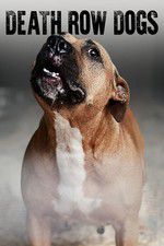 Watch Death Row Dogs Goojara
