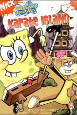 Watch SpongeBob SquarePants Whale of a BirthdayKarate Island Goojara