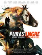 Watch Purasangre Goojara