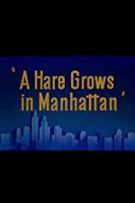 Watch A Hare Grows in Manhattan Goojara