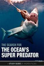 Watch The Search for the Oceans Super Predator Goojara