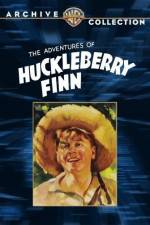 Watch Huckleberry Finn Goojara