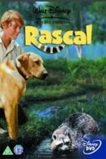 Watch Rascal Goojara
