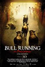 Watch Encierro 3D: Bull Running in Pamplona Goojara