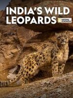Watch India\'s Wild Leopards (Short 2020) Goojara