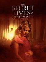 Watch Secret Lives of Sister Wives Goojara