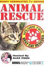 Watch Animal Rescue, Volume 2: Best Cat Rescues Goojara