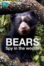 Watch Bears: Spy in the Woods Goojara