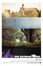 Watch The Learning Tree Goojara