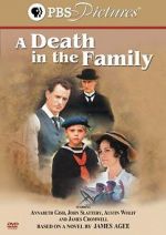 Watch A Death in the Family Goojara