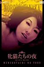 Watch Night of the Felines Goojara