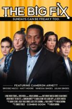 Watch The Big Fix Goojara