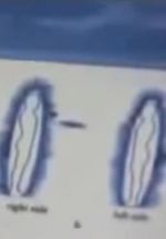 Watch Quantum Communication Goojara