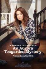 Watch A Bundle of Trouble: An Aurora Teagarden Mystery Goojara