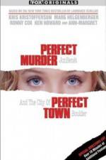 Watch Perfect Murder Perfect Town JonBenet and the City of Boulder Goojara