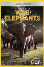 Watch War Elephants Goojara