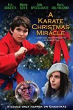Watch A Karate Christmas Miracle Goojara