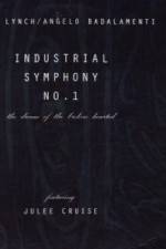 Watch Industrial Symphony No 1 The Dream of the Brokenhearted Goojara