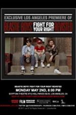 Watch Beastie Boys: Fight for Your Right Revisited Goojara