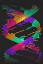 Watch Life to Eve Goojara