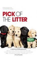 Watch Pick of the Litter Goojara