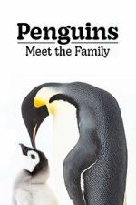 Watch Penguins: Meet the Family Goojara