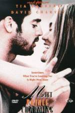 Watch Meet Prince Charming Goojara