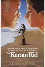 Watch The Karate Kid Goojara