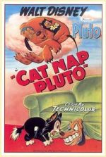 Watch Cat Nap Pluto Goojara