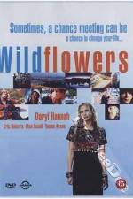 Watch Wildflowers Goojara