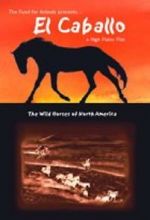 Watch El Caballo: The Wild Horses of North America Goojara