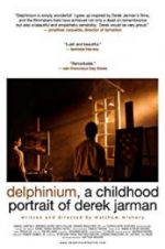Watch Delphinium: A Childhood Portrait of Derek Jarman Goojara