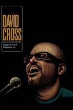 Watch David Cross Bigger & Blackerer Goojara