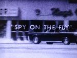 Watch Spy on the Fly (Short 1967) Goojara
