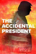 Watch The Accidental President Goojara
