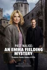 Watch Past Malice: An Emma Fielding Mystery Goojara