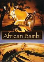 Watch African Bambi Goojara