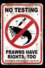 Watch Wikus and Charlize Goojara