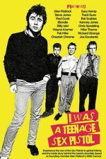 Watch I Was a Teenage Sex Pistol Goojara