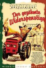 Watch The Taming of the Scoundrel Goojara