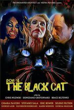 Watch POE 4: The Black Cat Goojara