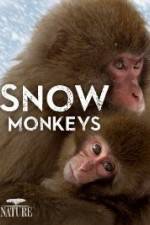 Watch Nature: Snow Monkeys Goojara