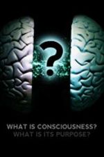 Watch What Is Consciousness? What Is Its Purpose? Goojara