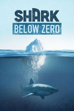 Watch Shark Below Zero Goojara